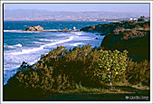 Lachi coastline