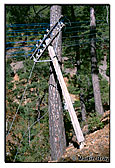 Telegraph Pole