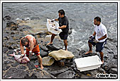 Fish gutters on Playa Blanca beach 20th November 2010
