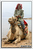 Camel By The Sea