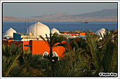 Overlooking The Red Sea