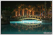 Night Pool